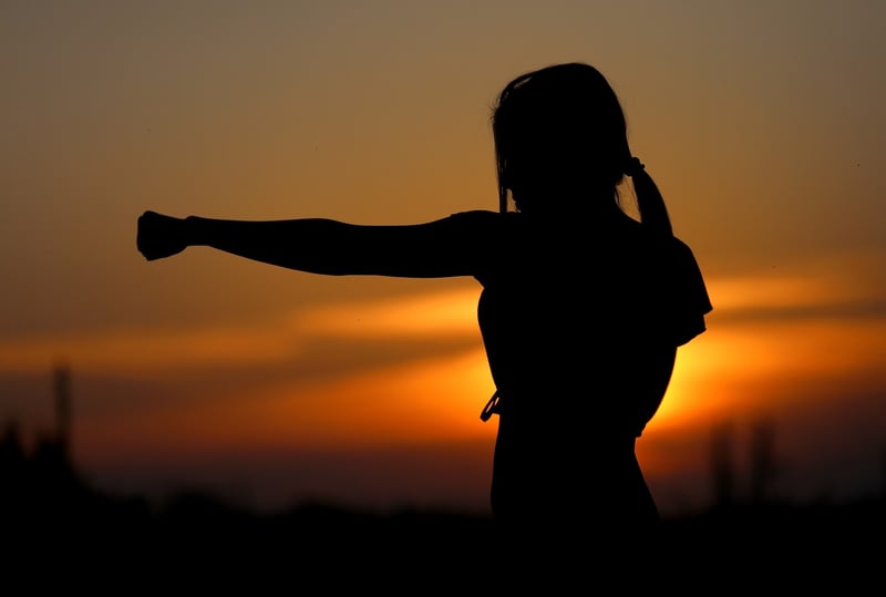 Taekwondo Martial Arts Silhouettes